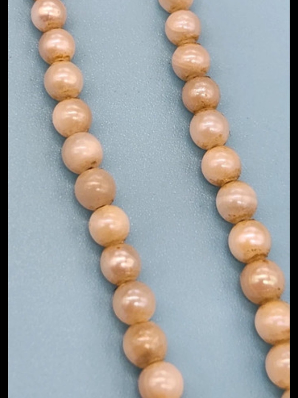Classic Cream graduated Pearl Necklace with 10 karat, white gold, clasp.
